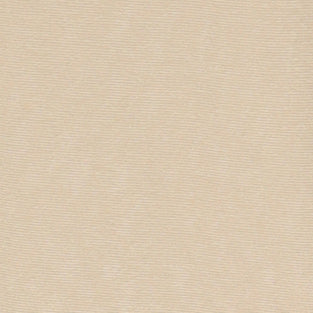 Please Top Champagne Oro T0ohop0000