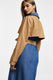 Image représentant la couleur 